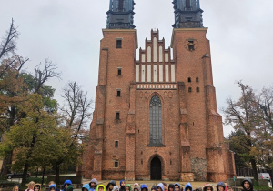 Zdjęcie 12 na 13